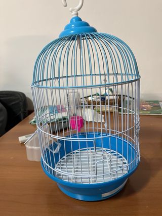 Gabbia per uccelli blu e trasparente