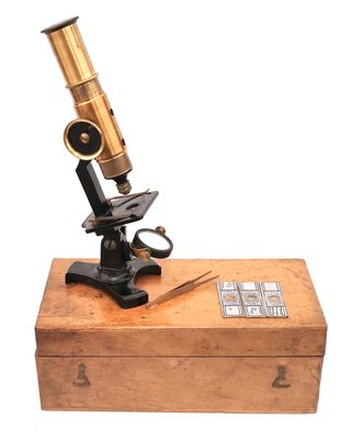 Microscopio Antiguo Francés Deyrolle c.1910