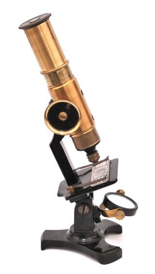 Microscopio Antiguo Francés Deyrolle c.1910