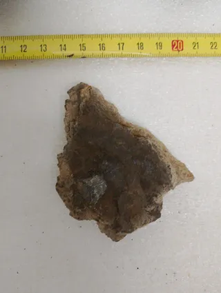 Fósiles Rocas Naturales.