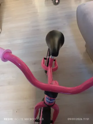 Bicicleta Chicco Rosa Niña 2-5 Años