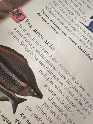 Lee cada día 365 historias de animales