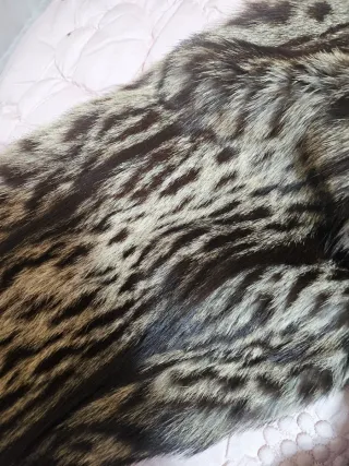 Chaqueta Ocelote con Capucha