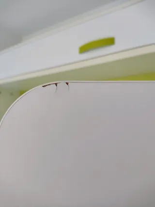 Cama abatible con escritorio y 2 camas