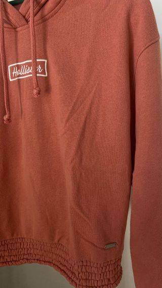 Sudadera con capucha Hollister