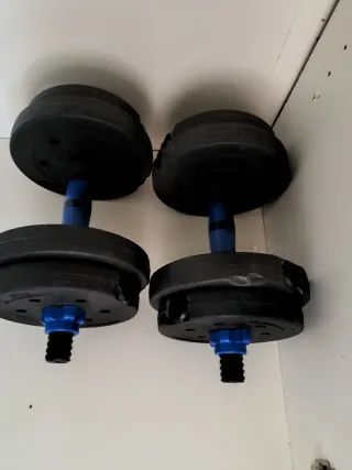 Manubri regolabili con dischi