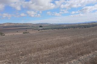 Terreno en venta en Yecla