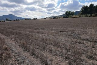 Terreno en venta en Yecla