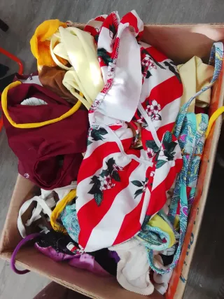 Caja Ropa Íntima +80 Prendas Sujetadores