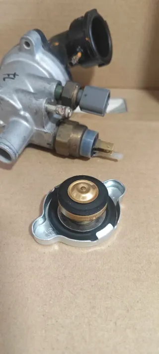 Termostato FZS 600 (1998-2003)