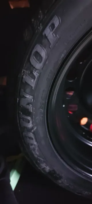 Rueda Repuesto Dunlop 205/55 R16+ gato regalo