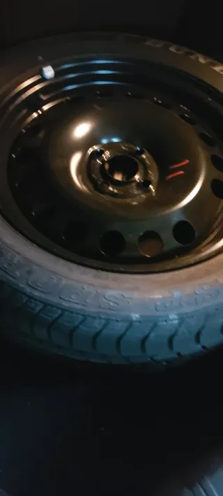 Rueda Repuesto Dunlop 205/55 R16+ gato regalo