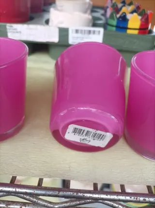 Set 5 Mini Vasi Rosa Pianta Grassa