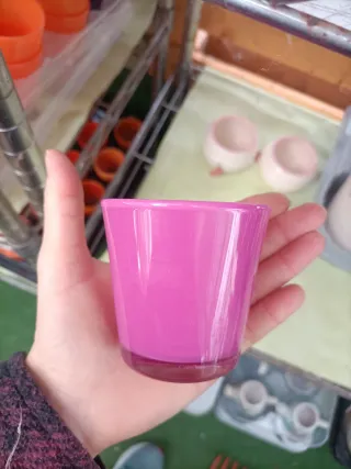 Set 5 Mini Vasi Rosa Pianta Grassa