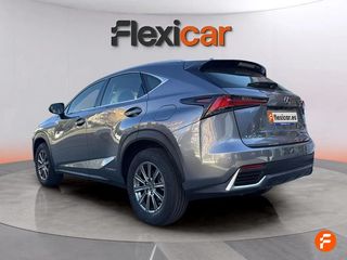 Lexus NX 2.5 300h Business 2WD