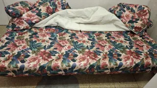 Sofá cama con amplio arcon