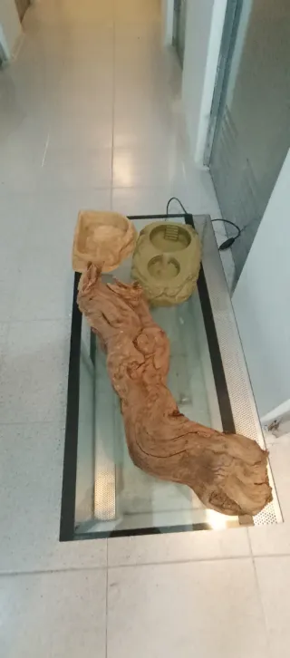 Terrario Negro y Transparente