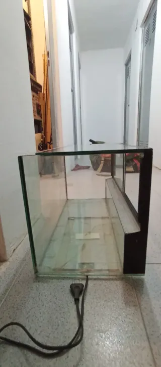 Terrario Negro y Transparente