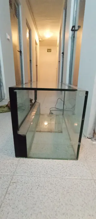 Terrario Negro y Transparente