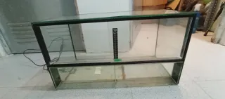 Terrario Negro y Transparente