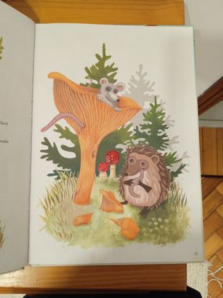 Erizo se va de casa, Libro infantil ilustrado