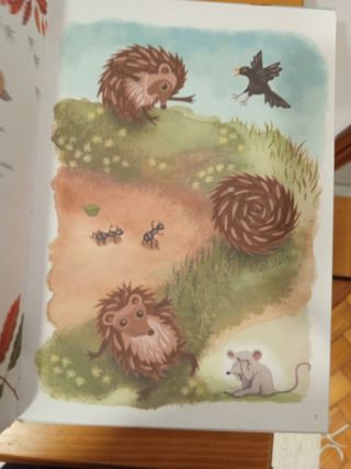 Erizo se va de casa, Libro infantil ilustrado