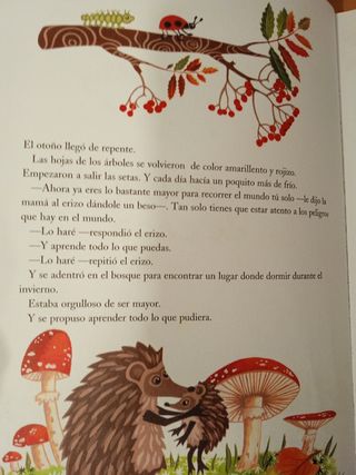 Erizo se va de casa, Libro infantil ilustrado