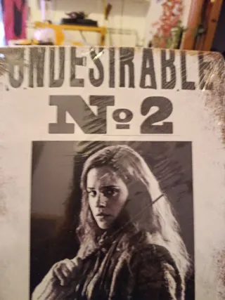 Harry Potter: Hermione Granger Undesirable No. 2