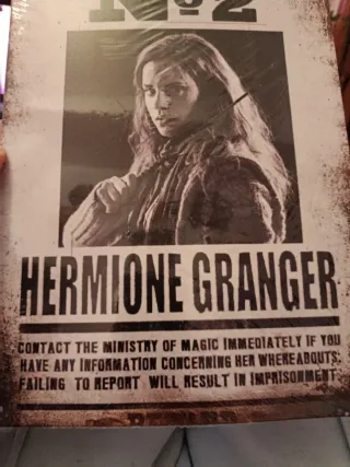 Harry Potter: Hermione Granger Undesirable No. 2