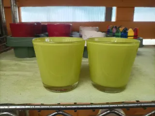 Set 2 Vasi Verdi Piante Grasse