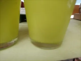 Set 2 Vasi Verdi Piante Grasse