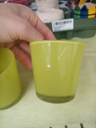 Set 2 Vasi Verdi Piante Grasse