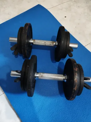 Mancuernas Decathlon 10 kg (par)