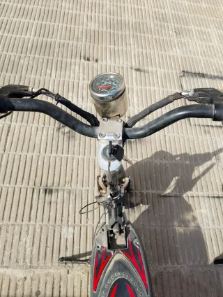 Patinetes Eléctricos (2 unidades)