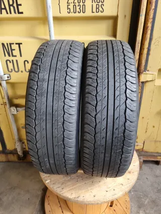 Se vende 2 Neumáticos en perfecto estado