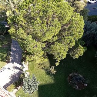 Piso en alquiler en Santa Eufemia en Tomares