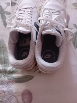 Zapatillas Nike Blancas y Azules