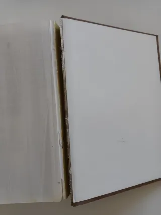 Diccionaris de Medicina Mosby