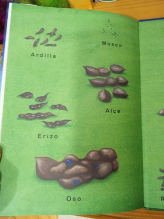 El rey Alce, literatura infantil