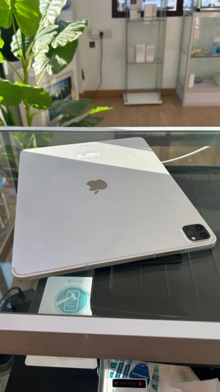 iPad Pro 12.9 5ª Gen 256GB WiFi + LTE Plata