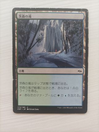 11 Cartas Yu-Gi-Oh y 1 Magic Japonés