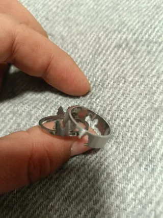 Anillo de acero doble