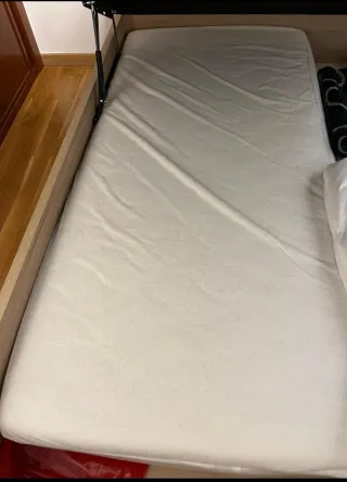 Cama articulada eléctrica con mando y colchón