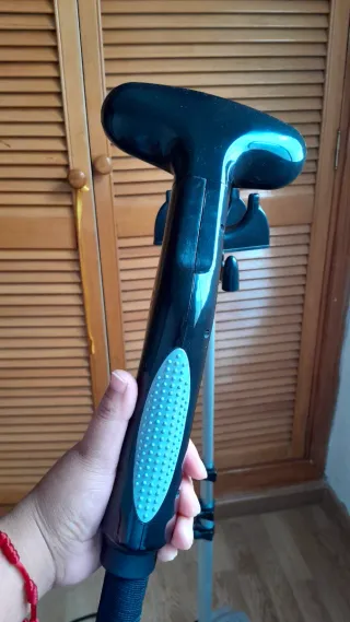 Plancha de vapor vertical