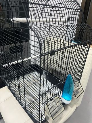 Jaula para pájaros negra