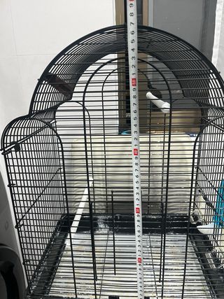 Jaula para pájaros negra