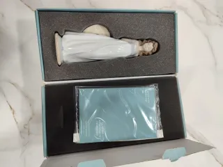 Figura Lladró Mujer