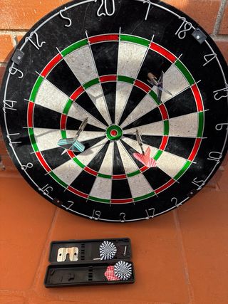 Tablero de dardos profesional