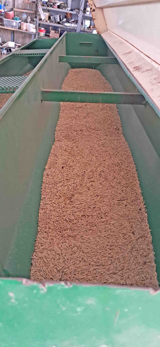 Sembradora GIL 19 chorros.