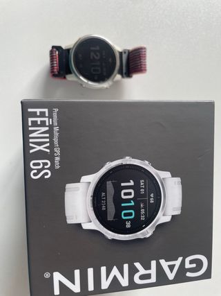 Garmin Fenix 6S GPS Multisport Watch